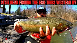 Western New York Erie Tribs Steelhead Fishing