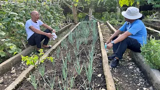 Seasoned / Expert, tuturoan tayo ng mabilis na vermicast production