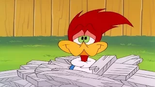 Woody Woodpecker Show | Meany Side of the Street | Full Episode | Videos For Kids HD