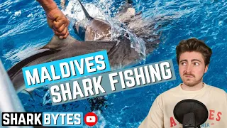 Maldives to LIFT shark fishing ban!?