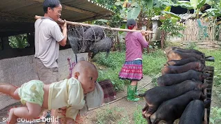 put pigs in the barn / cook bran for pigs to eat