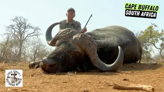 Hunting the Cape Buffalo of a Lifetime