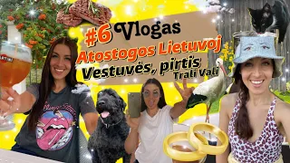 #6 Vlogas. Balius iki ryto ir kaimo malonumai