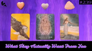 What They ACTUALLY Want From You 🤔😮🌹 What Are Their Intentions 💐✨🤍 ~ Pick a Card Tarot Reading