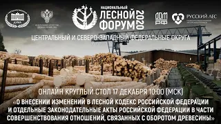 Онлайн круглый стол 17 декабря 2020 10:00 (МСК)