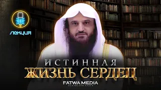 ИСТИННАЯ ЖИЗНЬ СЕРДЕЦ || 📹 ЛЕКЦИЯ || ﴾А ведь с поминанием Аллаха успокаиваются сердца﴿