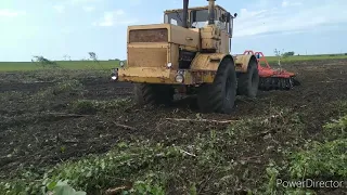 Лесоповал // Кировец валит лес // Введение залежных земель // БДТ-5ПР