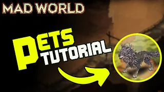 Pets GUIDE - Mad World: Age of Darkness