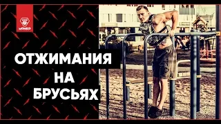 🎯Отжимания на брусьях. Правильная техника выполнения