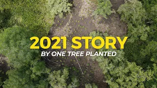 Planting 23 MILLION Trees: The 2021 Story | One Tree Planted