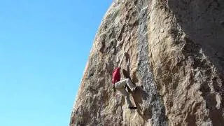 Enzo Oddo Sends Ambrosia V11