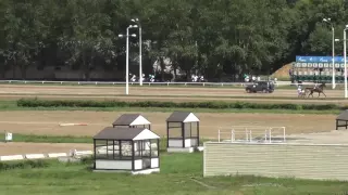 Московский ипподром. Скачки. 19.06.16. Скачка 4(30). ПРИЗ В ЧЕСТЬ ГОРОДА МАЛГОБЕК