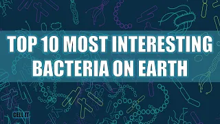 10 Most Interesting Bacteria On Earth