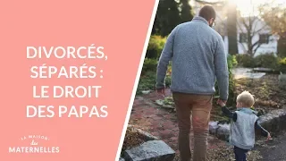 Divorcés, séparés : le droit des papas - La Maison des maternelles #LMDM