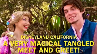 Meeting Up With Rapunzel and Flynn Rider: An Epic Tangled Meet and Greet at Disneyland #disney