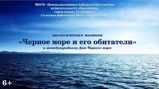 Экологическая мозаика "Черное море и его обитатели"