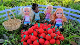 Apple picking ! Elsa & Anna toddlers - contest at Barbie's farm - adventure