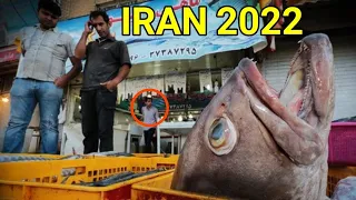 IRAN 2022 Walking and visiting the fish market in Bandar Anzali 2022