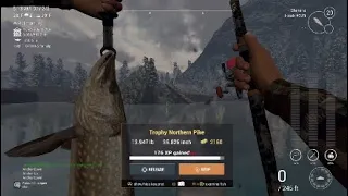 Trophy Northern Pike White Moose Lake Fisherman Fishing Planet