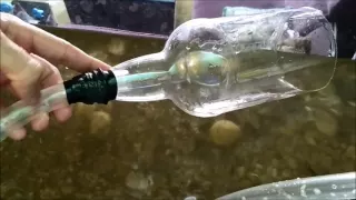 Сифонка грунта в аквариуме 240 литров с помощью помпы