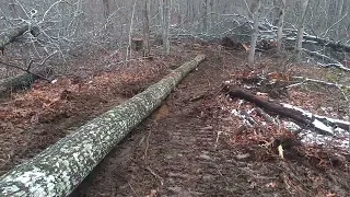 Poor Man Dozer Logging