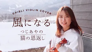 [violin cover] 風になる / つじあやの（猫の恩返し 主題歌）