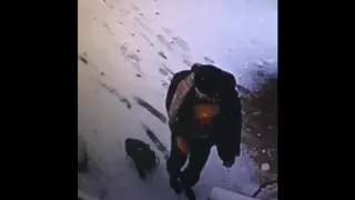 В Чебоксарах прохожий ударил пожилого мужчину  Полиция его ищет