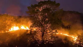 Brazil: world's largest wetland is on fire devastated region is 15 times larger than  São Paulo