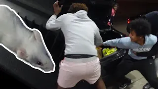 HE RELEASED A RAT IN THE CAR!!! - RAT PRANK