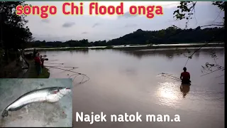 Ching songo chi flood ong.a | Najek na.tok man.a
