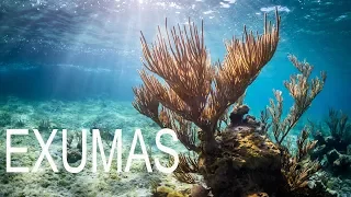 Trawler Life, Pablo Escobar plane and incredible snorkeling of corals in the Exumas Bahamas