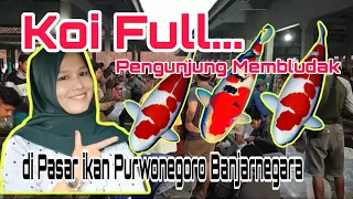 Koi Full..dan Pengunjung Pasar ikan Purwonegoro Membludak