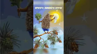 Хорошего дня и прекрасной недели!