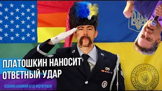 ПЛАТОШКИН НАНОСИТ ОТВЕТНЫЙ УДАР/Стрим на Вестнике Бури