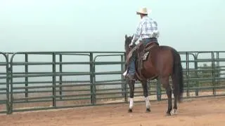 Leg Yield - Horse Training