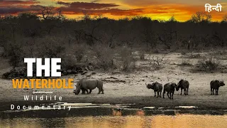 Wildlife documentary in hindi - The WaterHole | Wild Animals in Africa, हिन्दी डॉक्यूमेंट्री