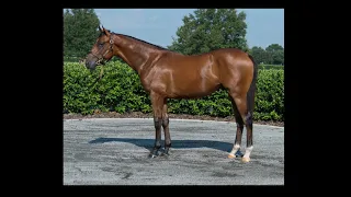 Keeneland September Yearling Sale 2022