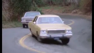 '66 Impala chases '73 Polara "If ya can't do the time...."