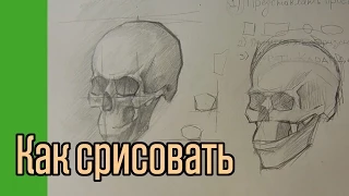 Как научиться срисовывать