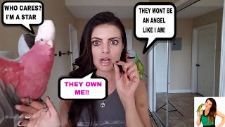 11 Reasons NOT To Get A Parrot | BEFORE GETTING A BIRD WATCH THIS!