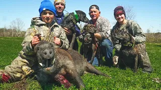 Epic Day of Hog Hunting with Dogs | Catch and Cook | Wild Pig Hunting with Hounds and Pitbulls