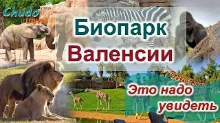 Биопарк Валенсии. Это надо увидеть.