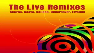 V.A. - The Live Remixes (Kristian Thinning Andersen) | Full Mix