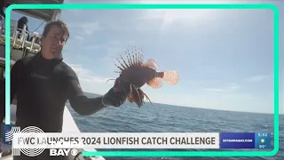 How FWC's 'Lionfish Challenge' Tournament helps protect the environment