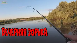 Вечерняя зорька на малой реке. Мормышинг с Black Dragon 210, 0,5-5 гр. Середина июня 2021.