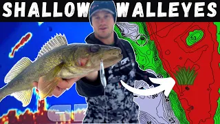 Early Ice Walleyes in SHALLOW Water | Locations + LiveScope LVS34