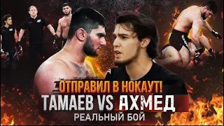 Тамаев vs Ахмед ! Жесткий Нокаут. Полный бой