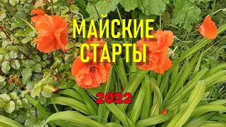 Вышивка крестом - майские старты 2022. Нова Слобода, Luka-S, Дименшенс 💎