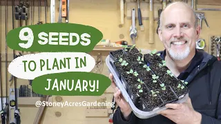 It's Time to Start Your Garden!   9 Seeds to Plant Indoors in January