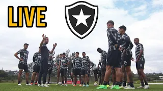 BOTAFOGO BUSCA RESOLUÇÕES INTERNAS, MAS VISA O MERCADO